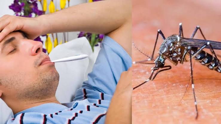 Typhoid & Dengue Management in Patna